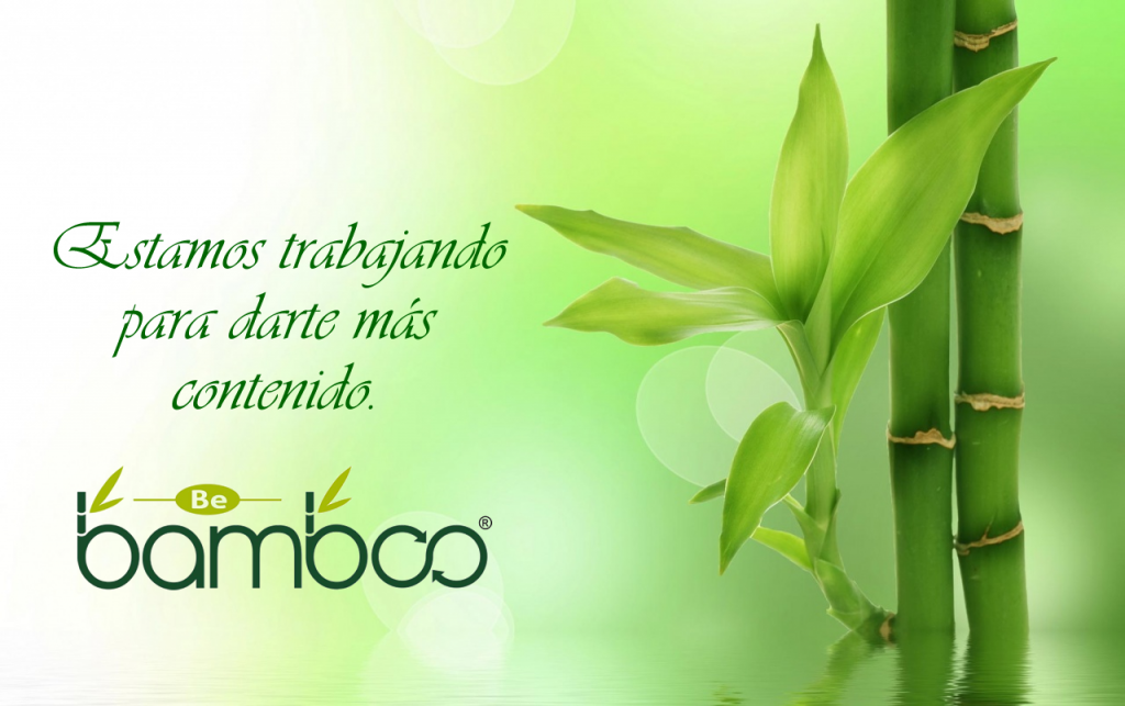bamboo1